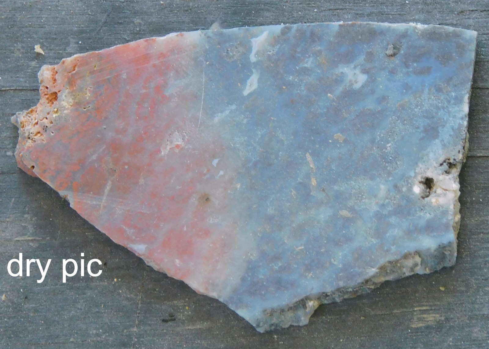 Woodward Ranch Plume Agate lapidary cabbing slab from Texas 4mm thick