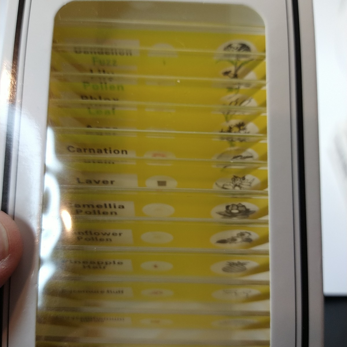 48Pcs Prepared Microscope Slides Specimen Animals Insects Plants Flowers Sample