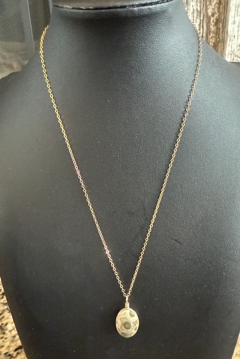 Petoskey Stone Hand Polished Pendant Necklace 1/20 GF 18” Chain