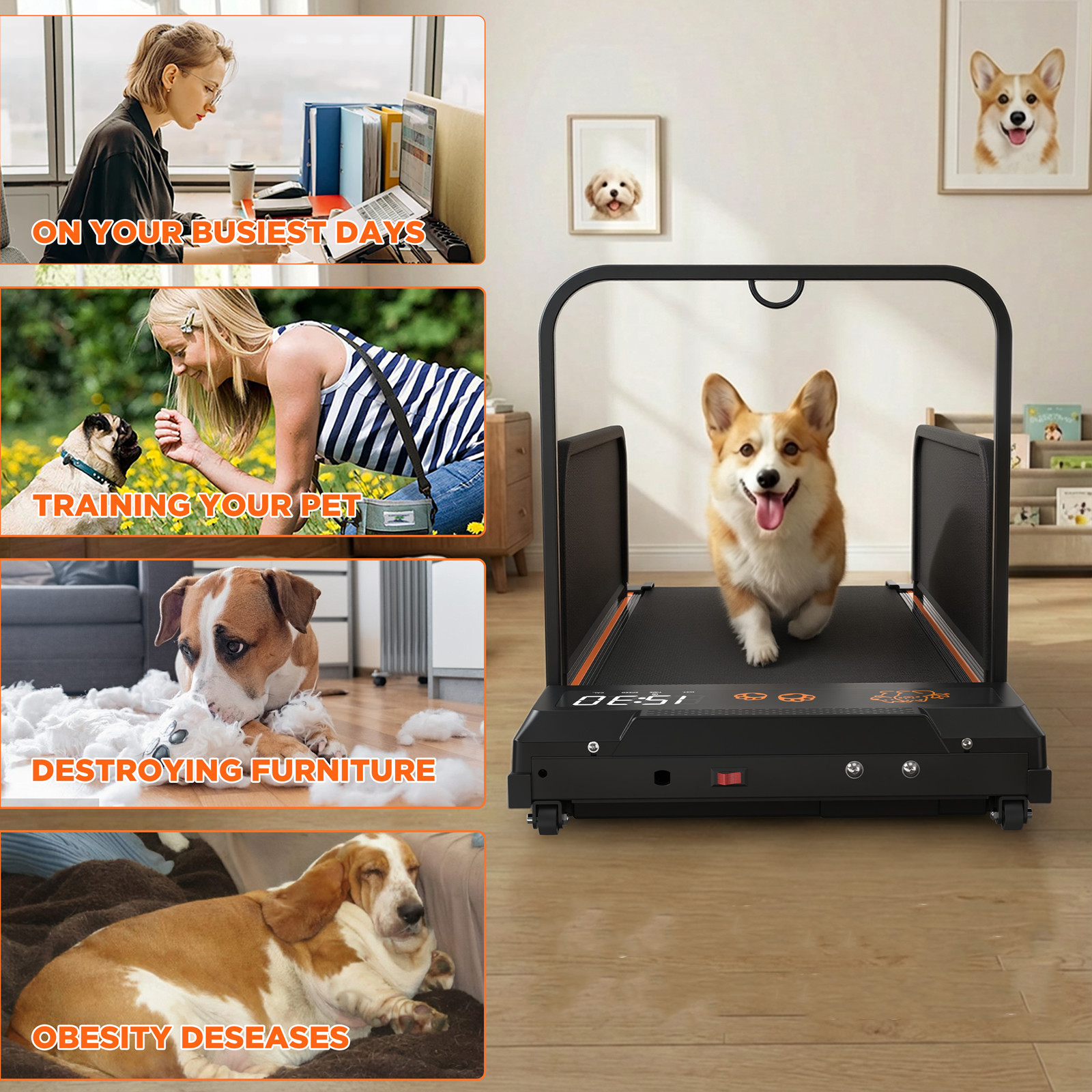2026 Edition Small Dog Treadmill Pet Running Machine Pacer Treadmill with Remote