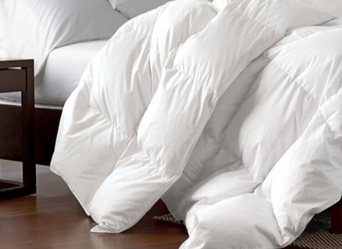 Siberian Goose Down Comforter, 100% Egyptian Cotton White (Size: Queen-90x90)