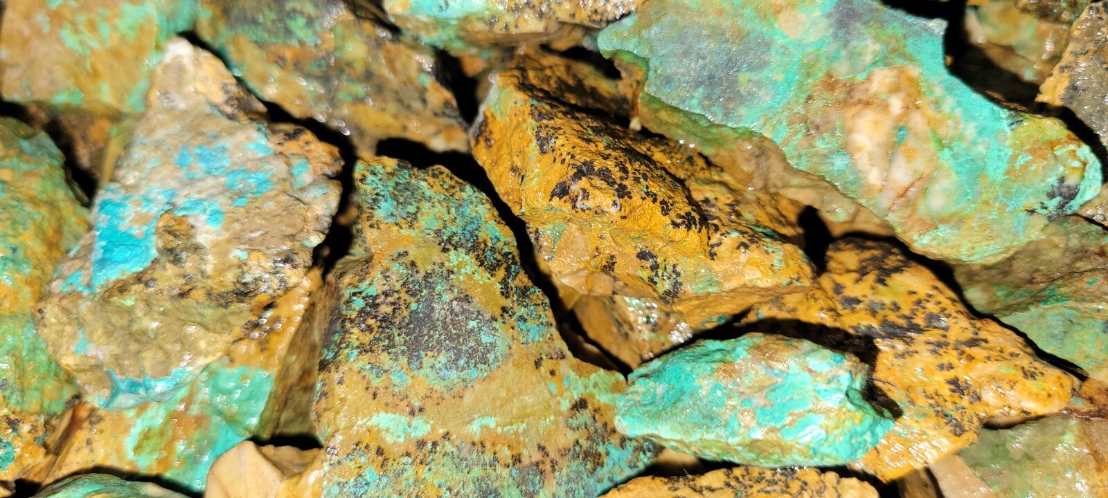 Natural Turquoise Rough Blue Silver Mine, Lone Mountain District NV - Half Pound
