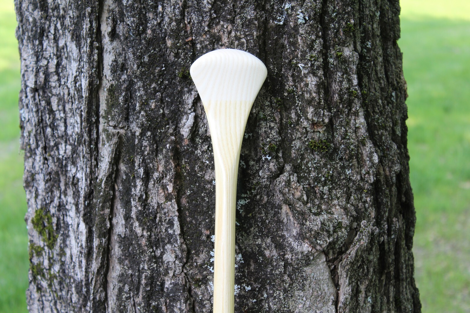 white Ash canoe paddle