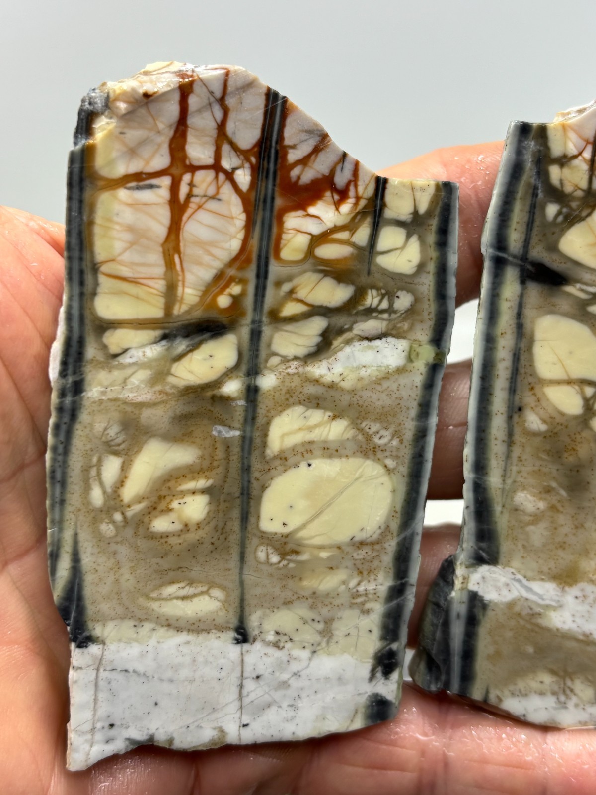 Picasso Marble (Jasper) Slabs Cabbing Lapidary Utah Combo Ship Avail
