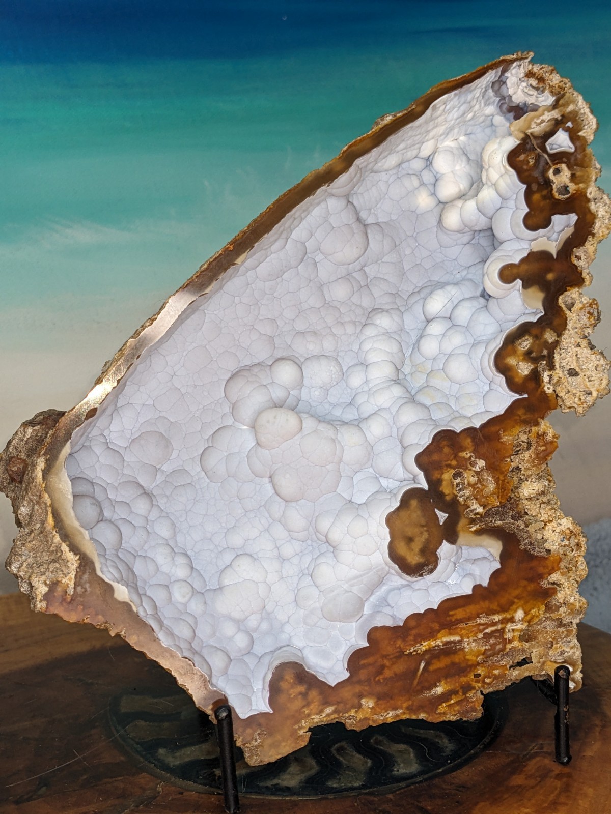 Agatized Coral Fossil Split Geode Botryoidal Blue/Violet Butterfly w/stands