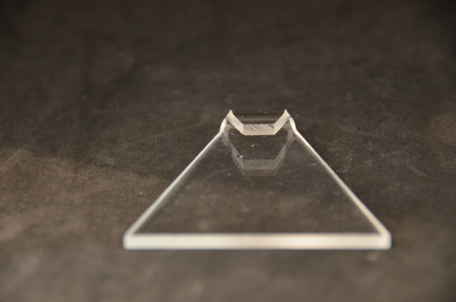 Acrylic Stands for Shells / Collectibles- Various types & sizes- Buy more save$$