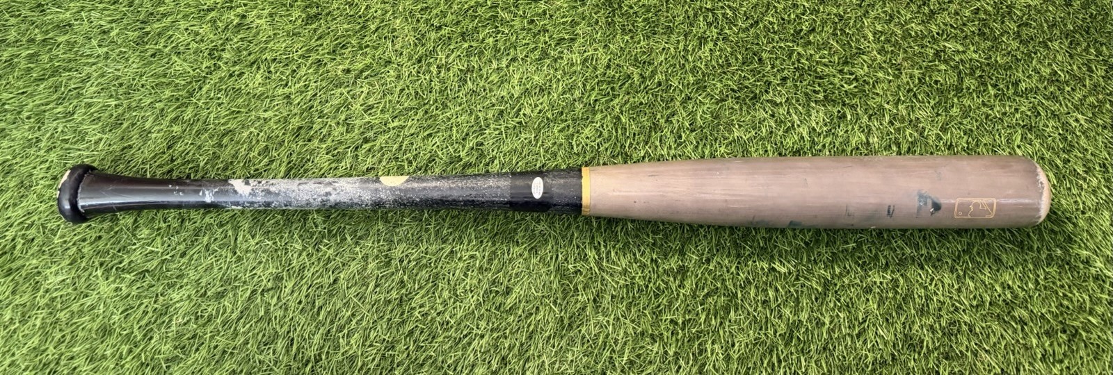 Junior Caminero 2025 Tampa Bay Rays Game-Used & Signed Bat GUG LOA