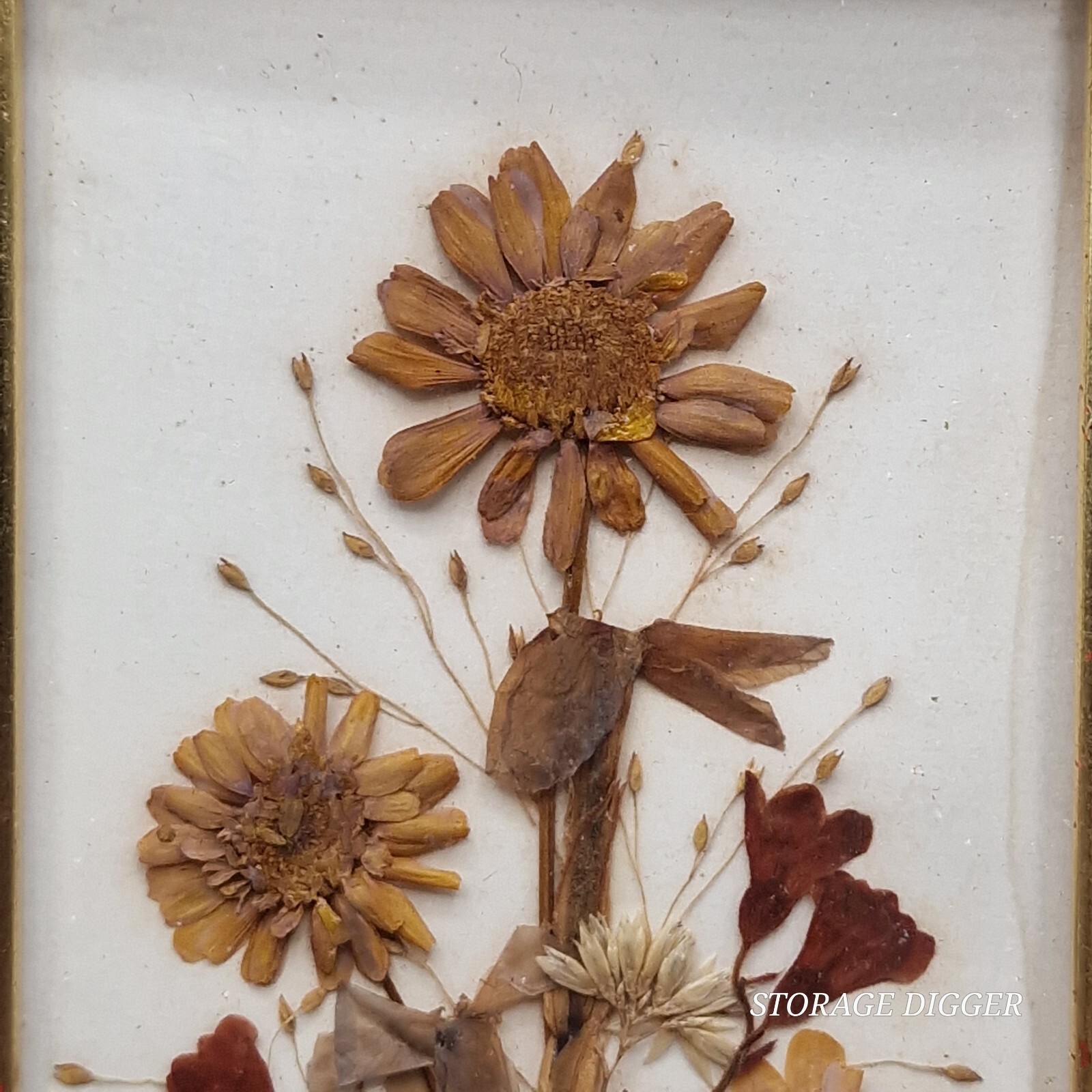 Vintage 1970's Reichlin Switzerland Pressed Dried Flowers Art Gold-Tone Frame