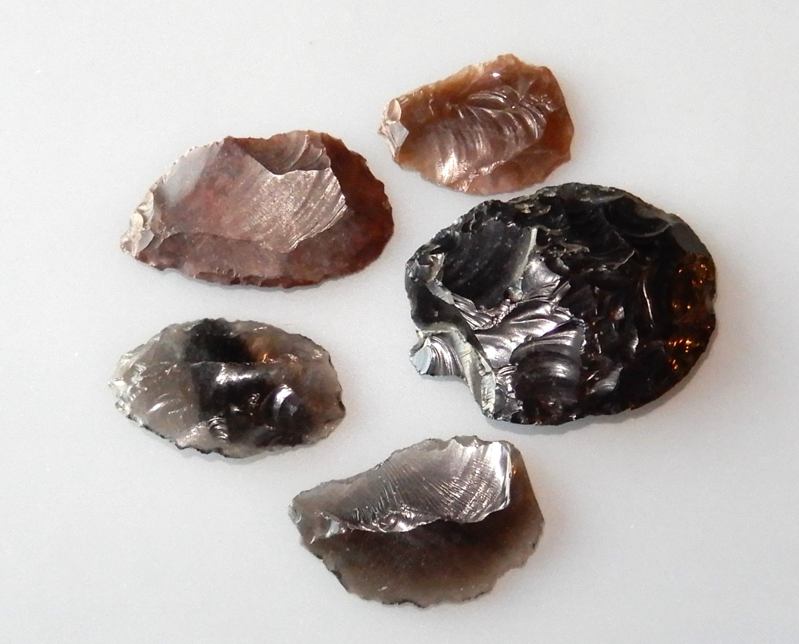 Five pieces of Obsidian, Granite Creek, Chino Valley, Arizona