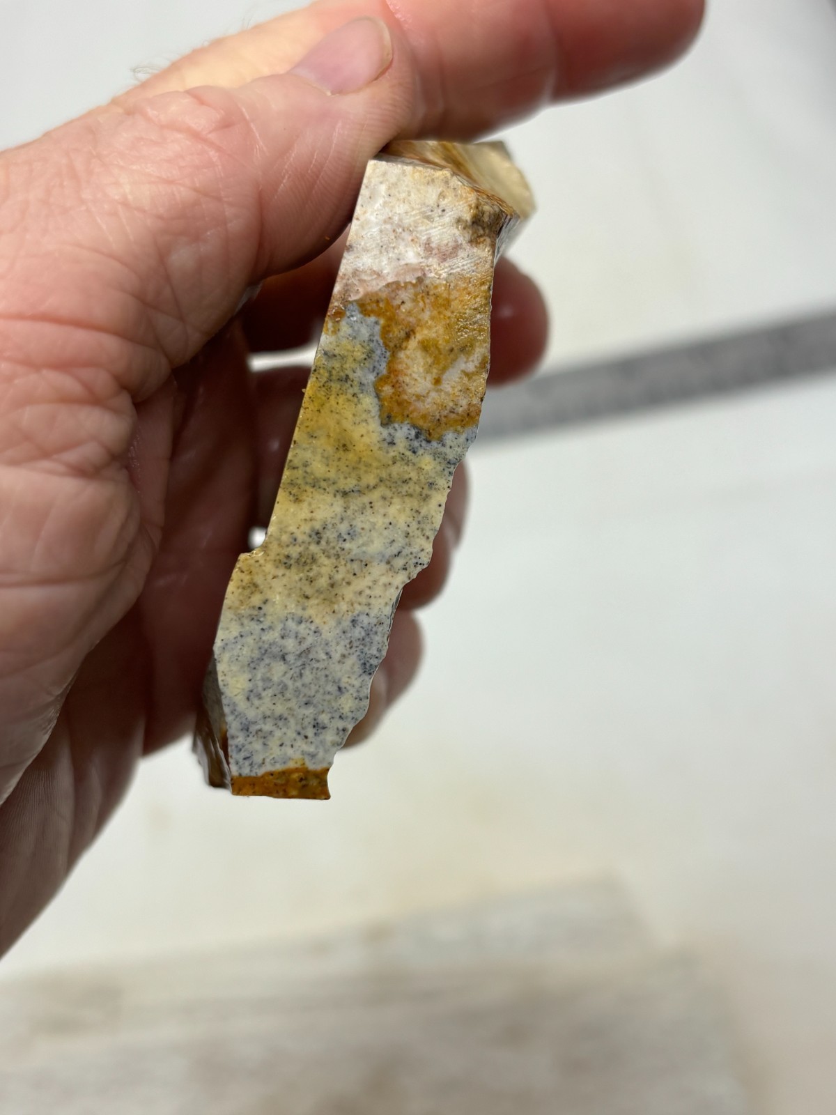 Disaster Peak Picture Jasper end slab Cabbing Lapidary Collecting Combo Ship Avl