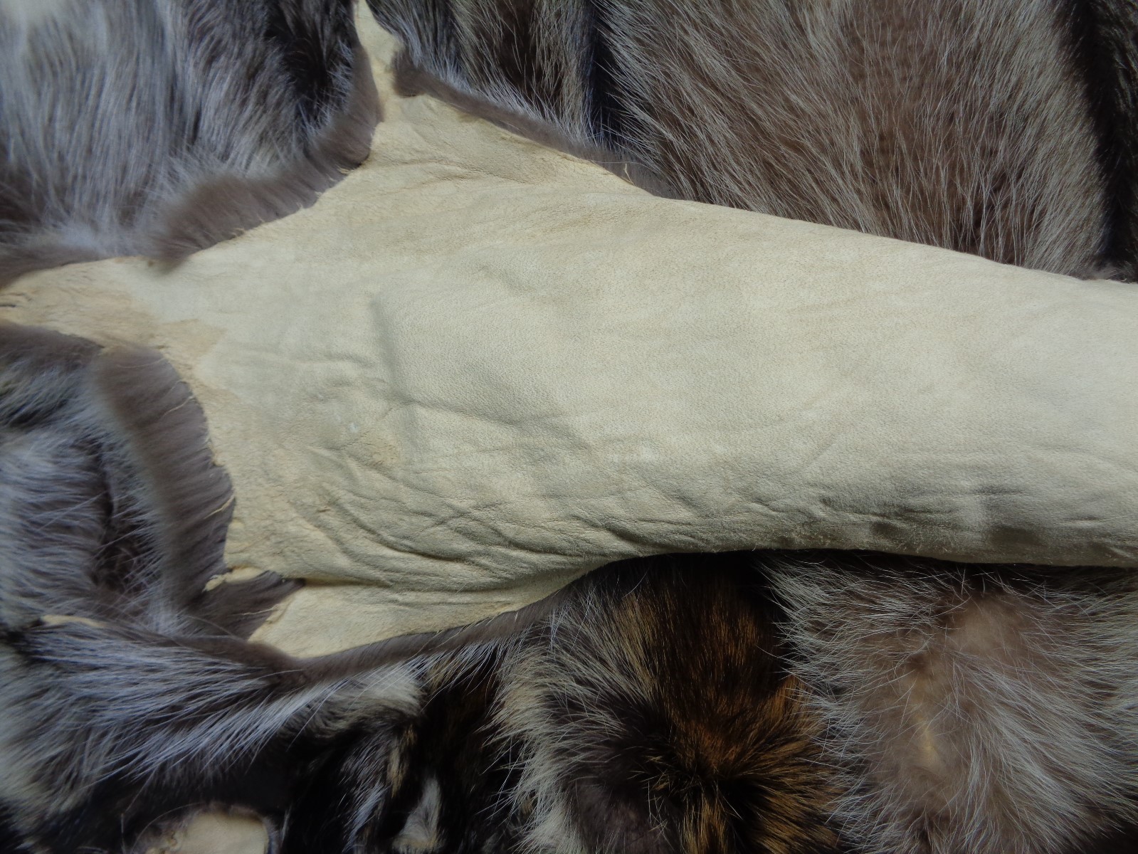 Professionally Tanned Slt Damage XL Raccoon/Coon Hides/Furs/Taxidermy/Crafts
