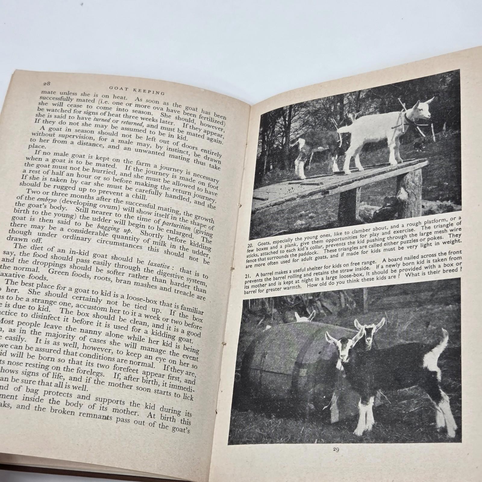 Young Farmers Club Booklet Goat Keeping British Goat Society -x