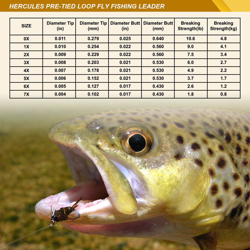 HERCULES Pre-Tied Loop Fly Fishing Leader Nylon 6 Pack W/ Tapered Leader Wallet