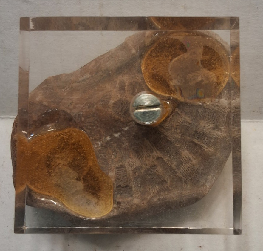 PETOSKEY ROCK MOUNTED ON ACRYLIC STAND PAPERWEIGHT