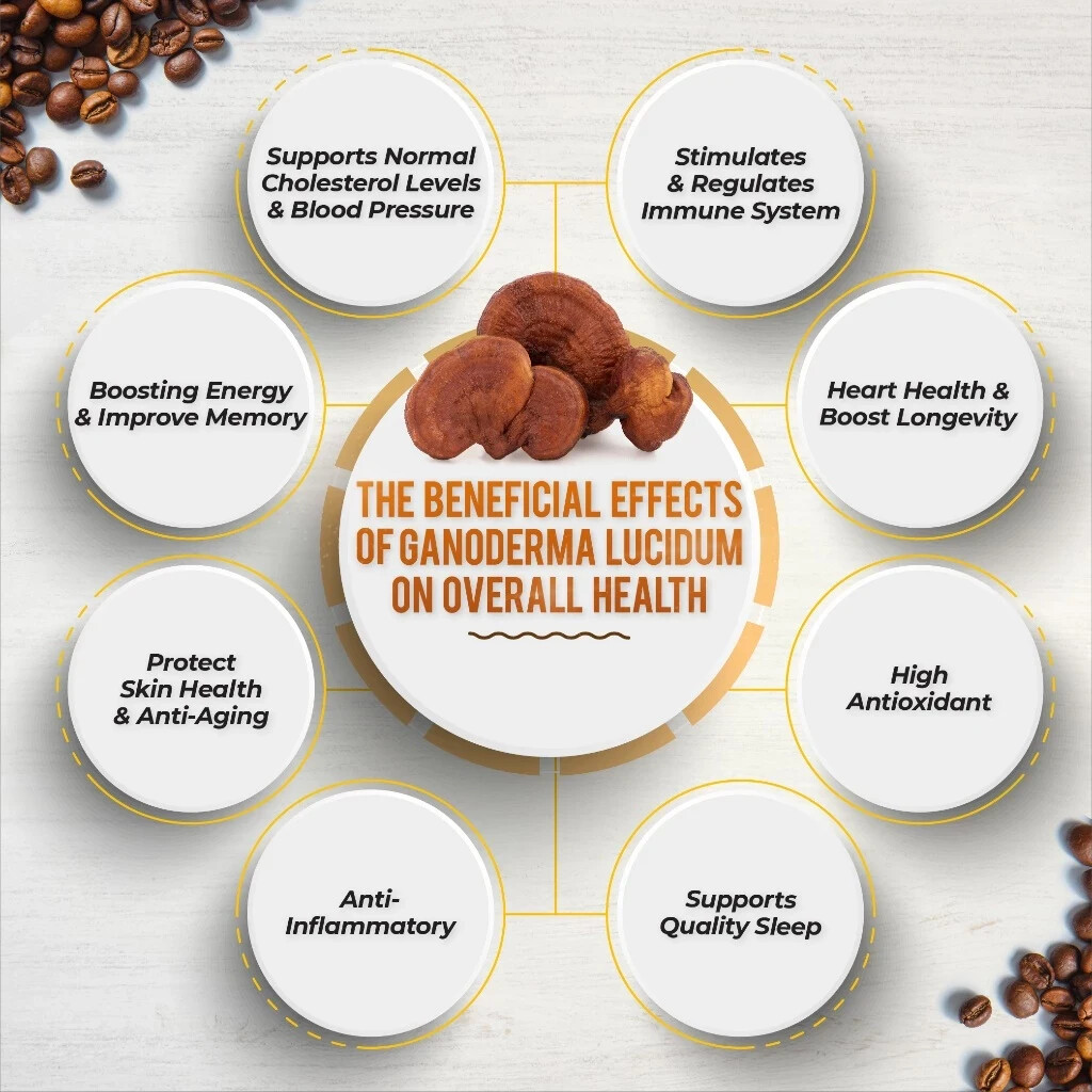 6 X Nugano Black Coffee Premium 100% Organic Ganoderma + EXPRESS SHIPPING