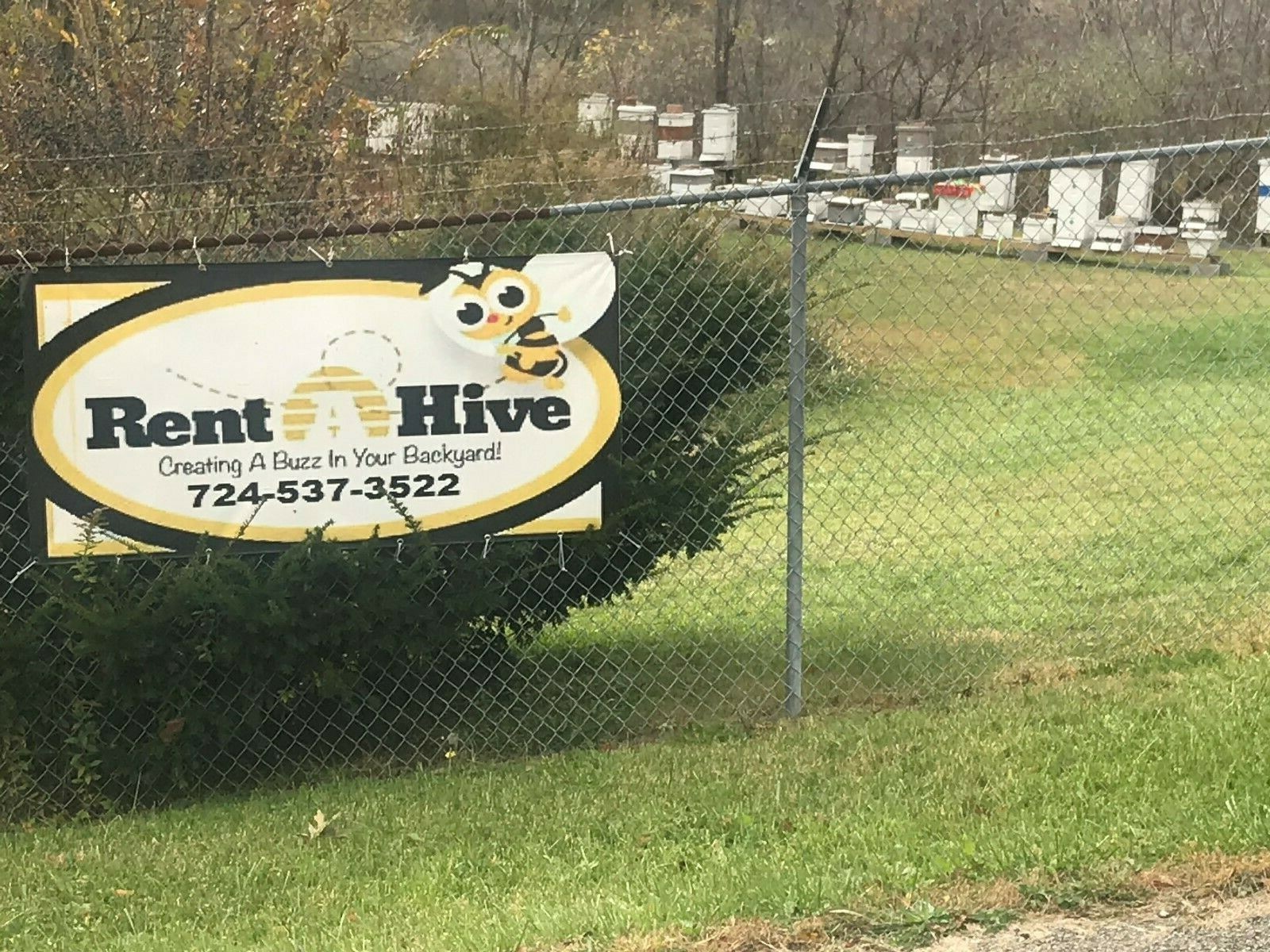 Made in USA Honeybee Swarm Lure Made by Professional Swarm Catchers