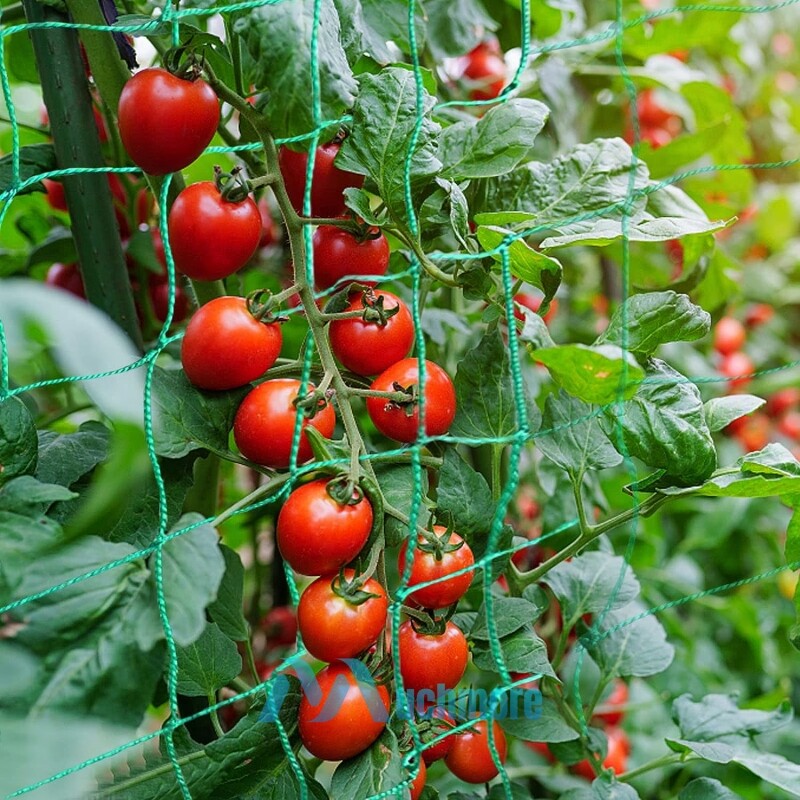 Heavy-Duty Growing Net Garden Trellis Netting for Vine Plants Fruits Flowers Veg