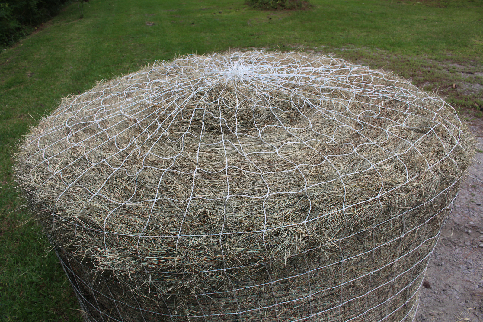 Horse Hay Round Bale Hay Net 6' x 6' Save Money 4" #72 Eliminates Waste 700 test