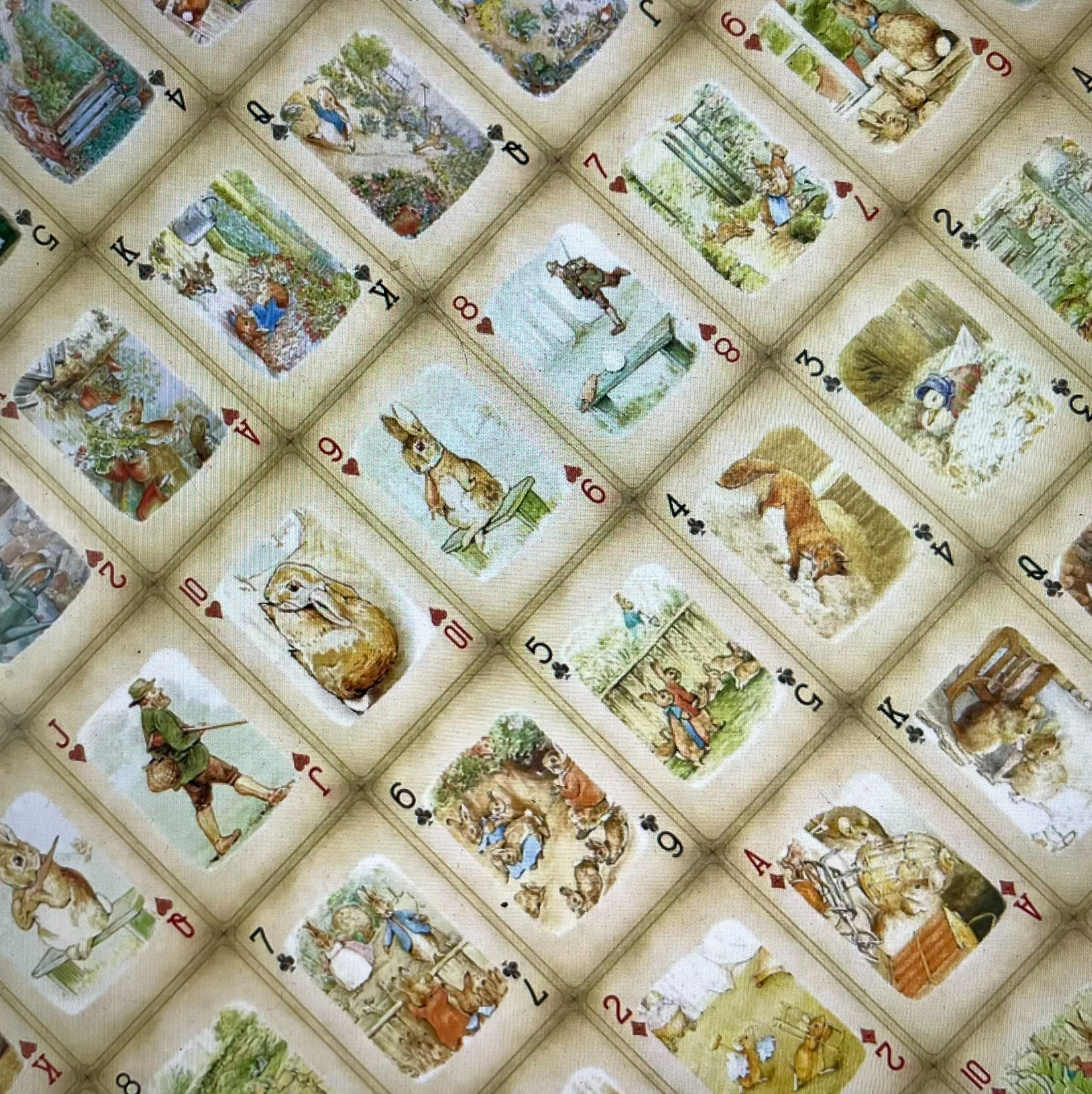 Easter Peter Rabbit Poker Poker Playing Deck of Cards X 2 Styles