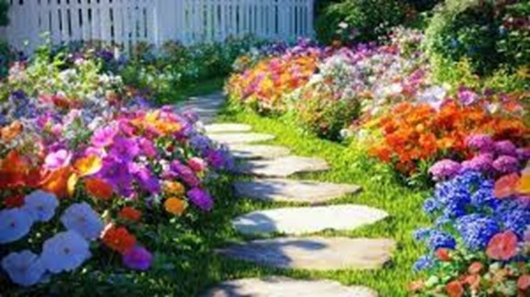 Dolomite Garden Lawn Barn Lime PURE Organic Worm Pulverized HI-Calcium Magnesium