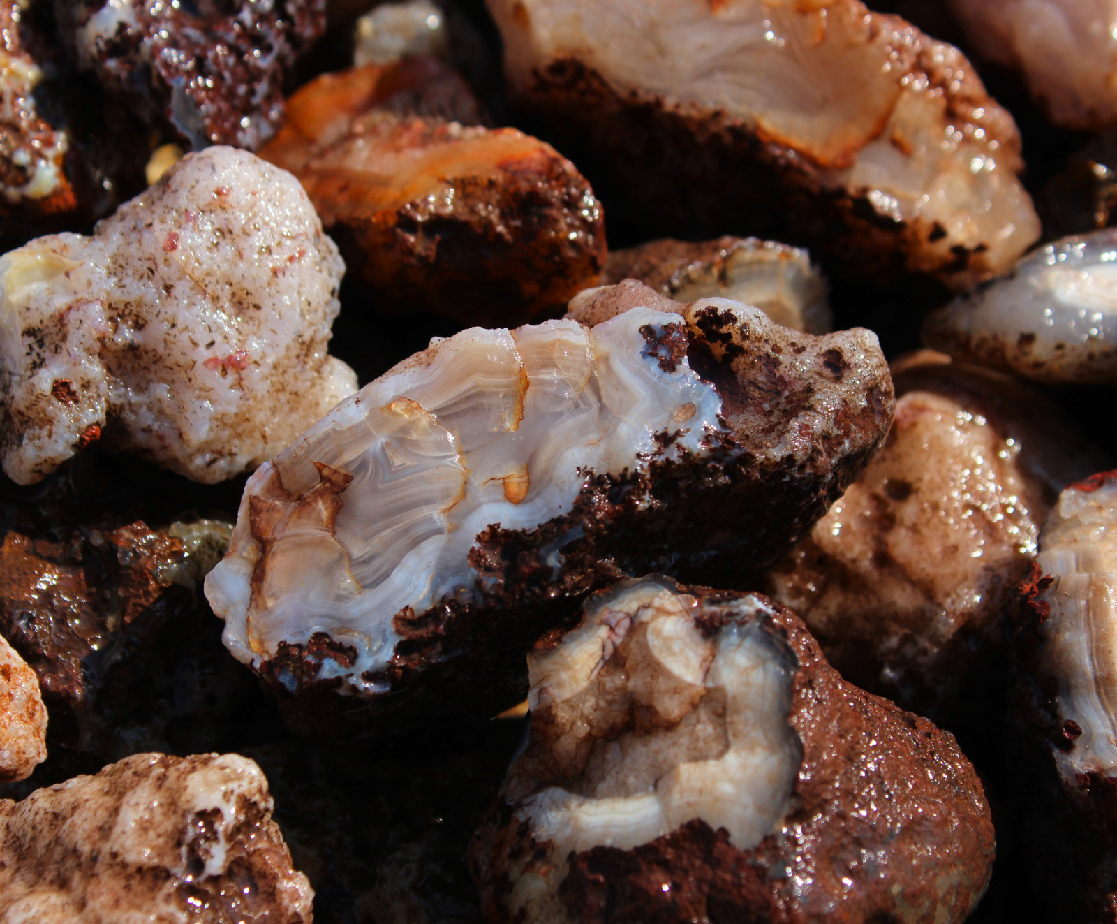 Calandria Agate Nodules - Rough Rocks for Lapidary/Cabochon - Bulk Wholesale