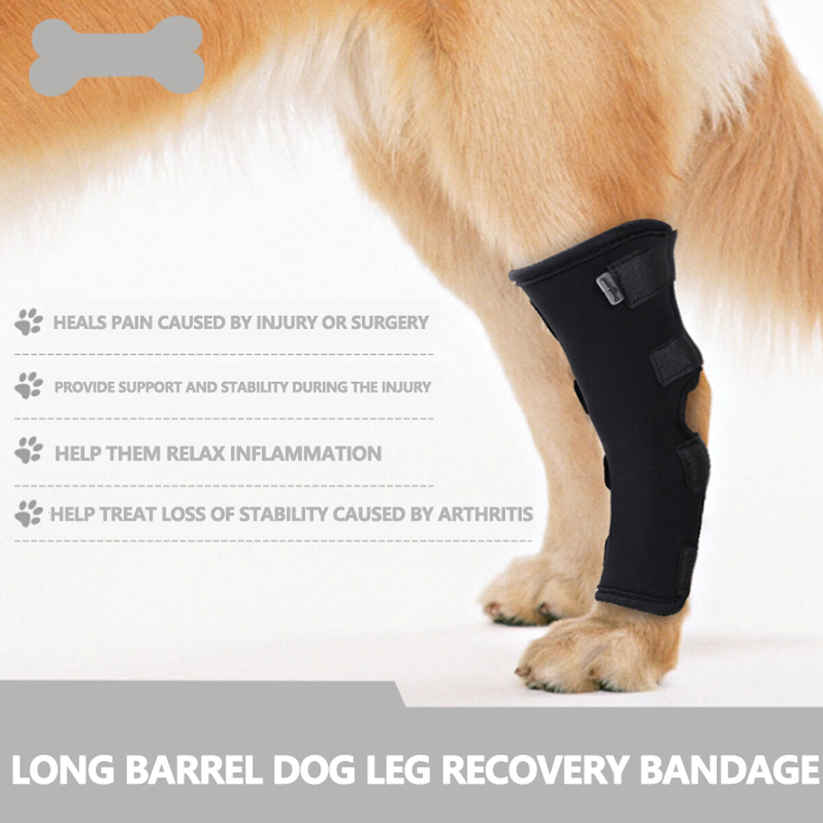 Dog Knee Brace Leg Brace for Sprain ACL Arthritis Joint Pet Dog Back Leg Support