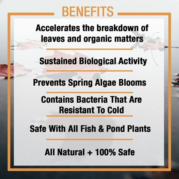 Microbe Lift Autumn & Winter Prep 1 Gallon Kit Pond Treatment AUTPREPGK