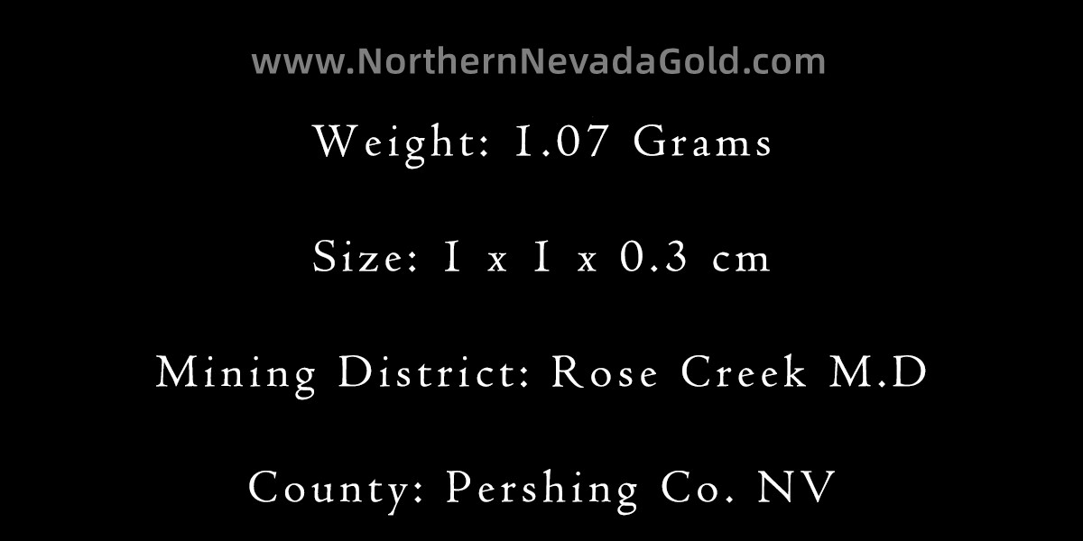 Gold nugget 1.07 Grams Rose Creek M.D Pershing Co. NV