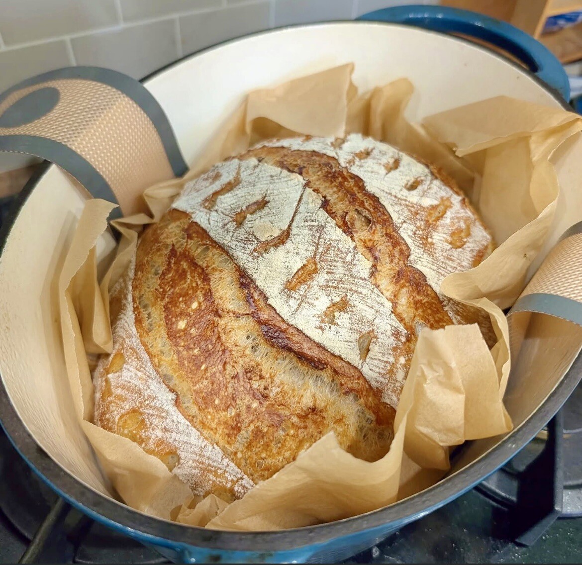 ORGANIC Sourdough Bread Starter San Francisco - Live 200yrs Old BEST SELLER!