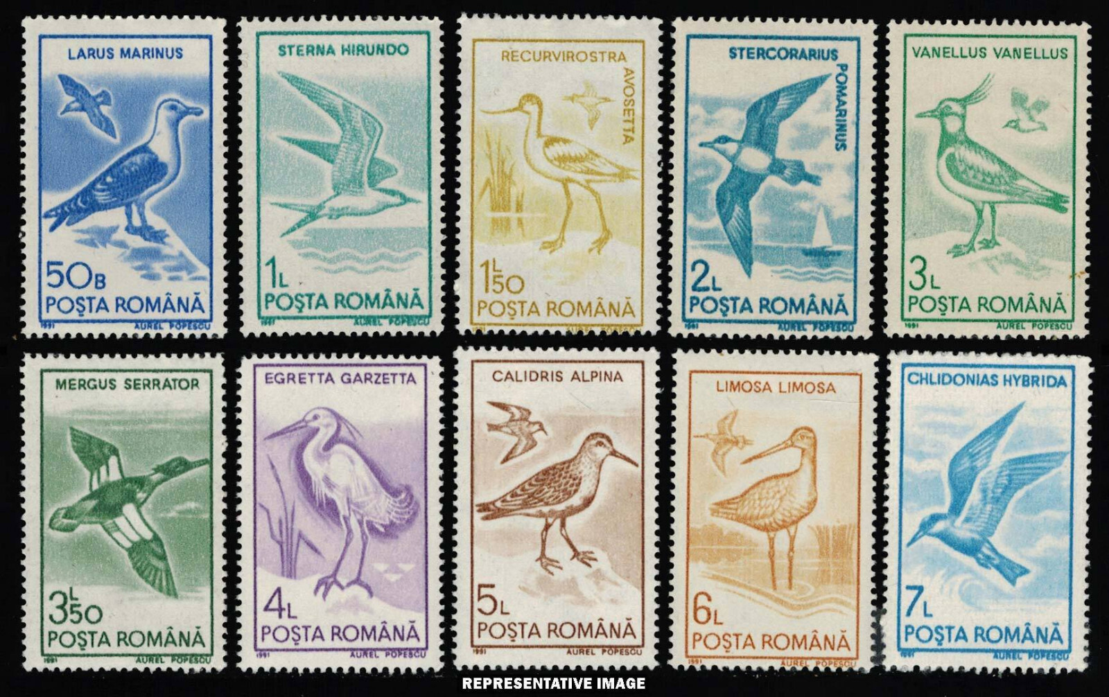 Romania BIRDS 1991 Set of 10 Scott # 3639-3648 MINT NEVER HINGED  Complete