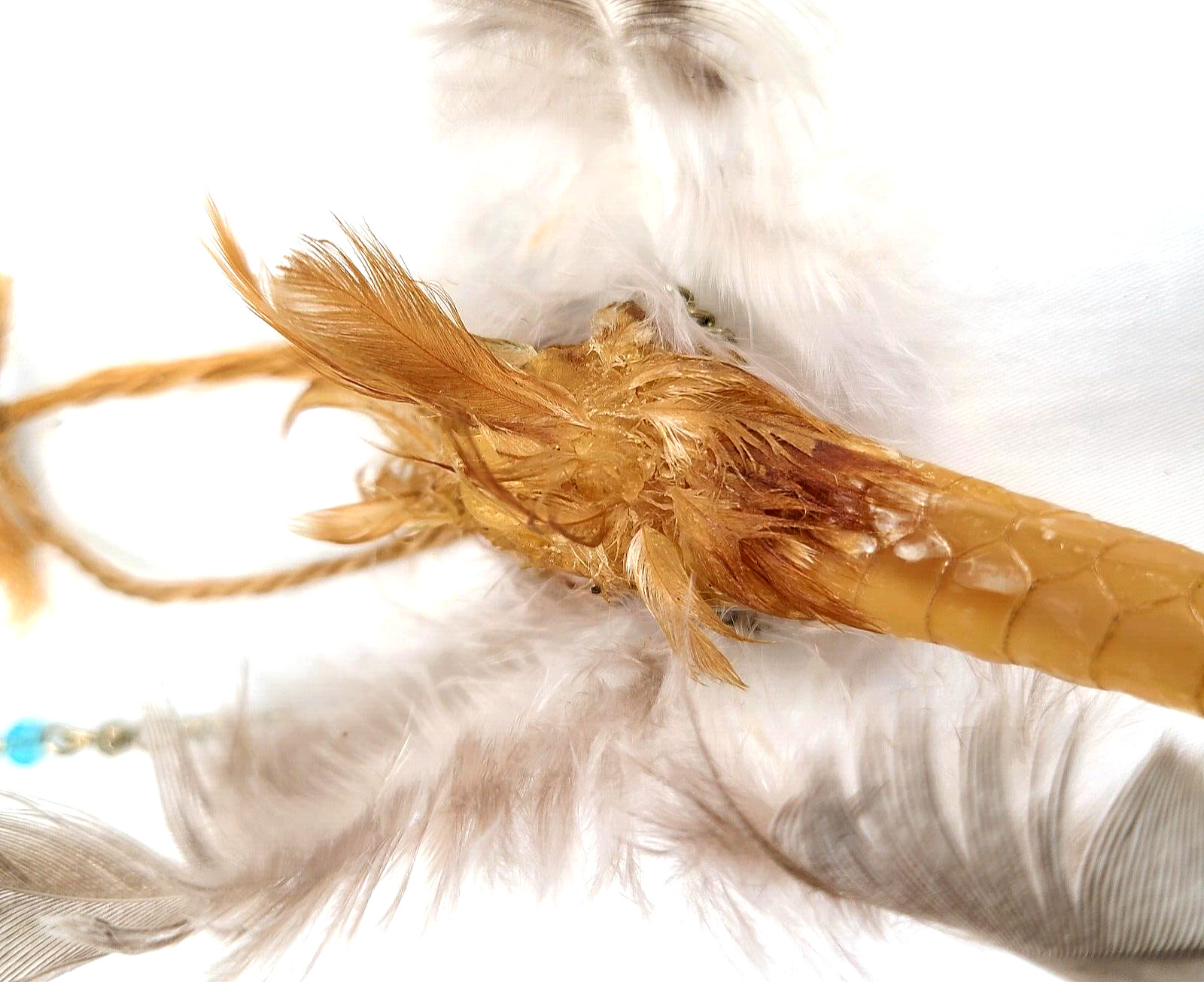 Good Luck Charm Lucky Charm Chicken Foot Voodoo Protection Occult Items Oddity