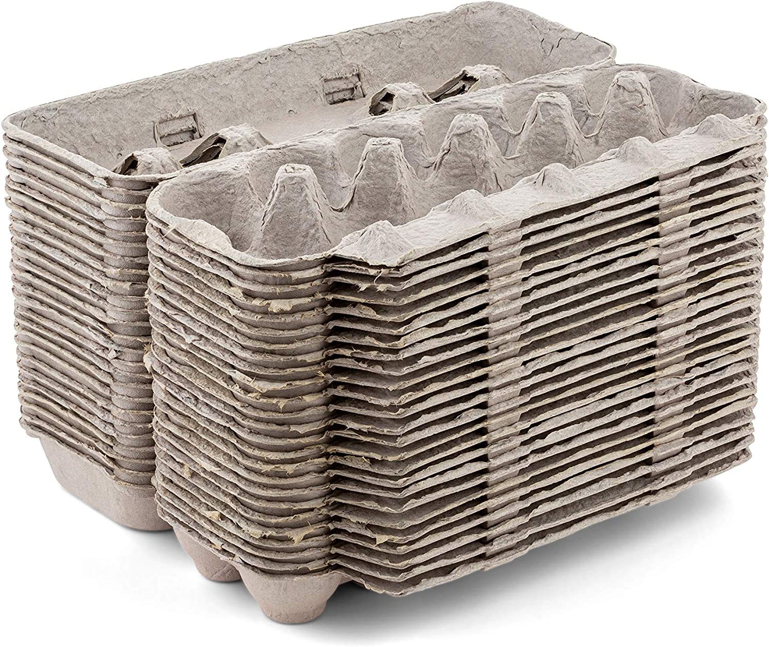 MT Products 12 Compartment Blank Natural Pulp Egg Cartons - Pack of 25