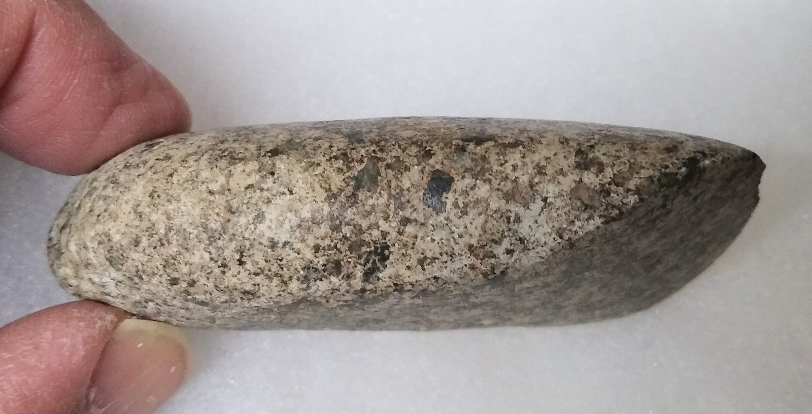 Polished Adze Mahoning County Ohio