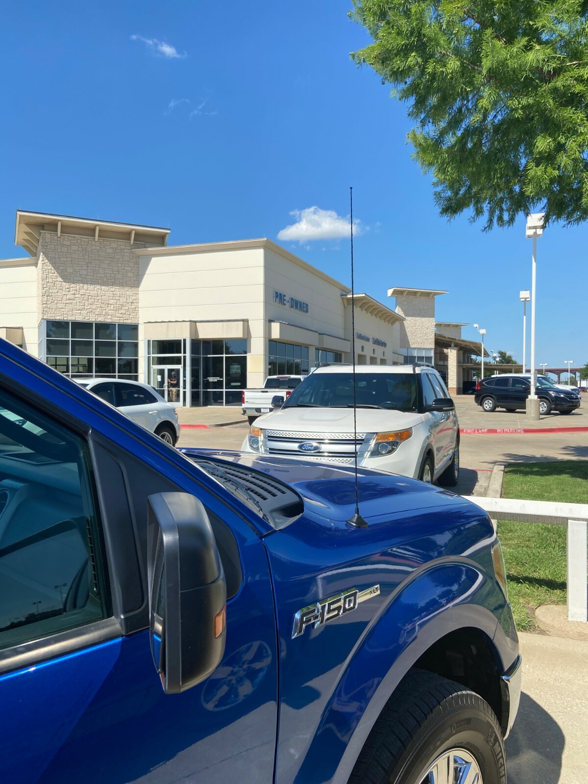 21" Antenna Black for Ford F150 2009-2020