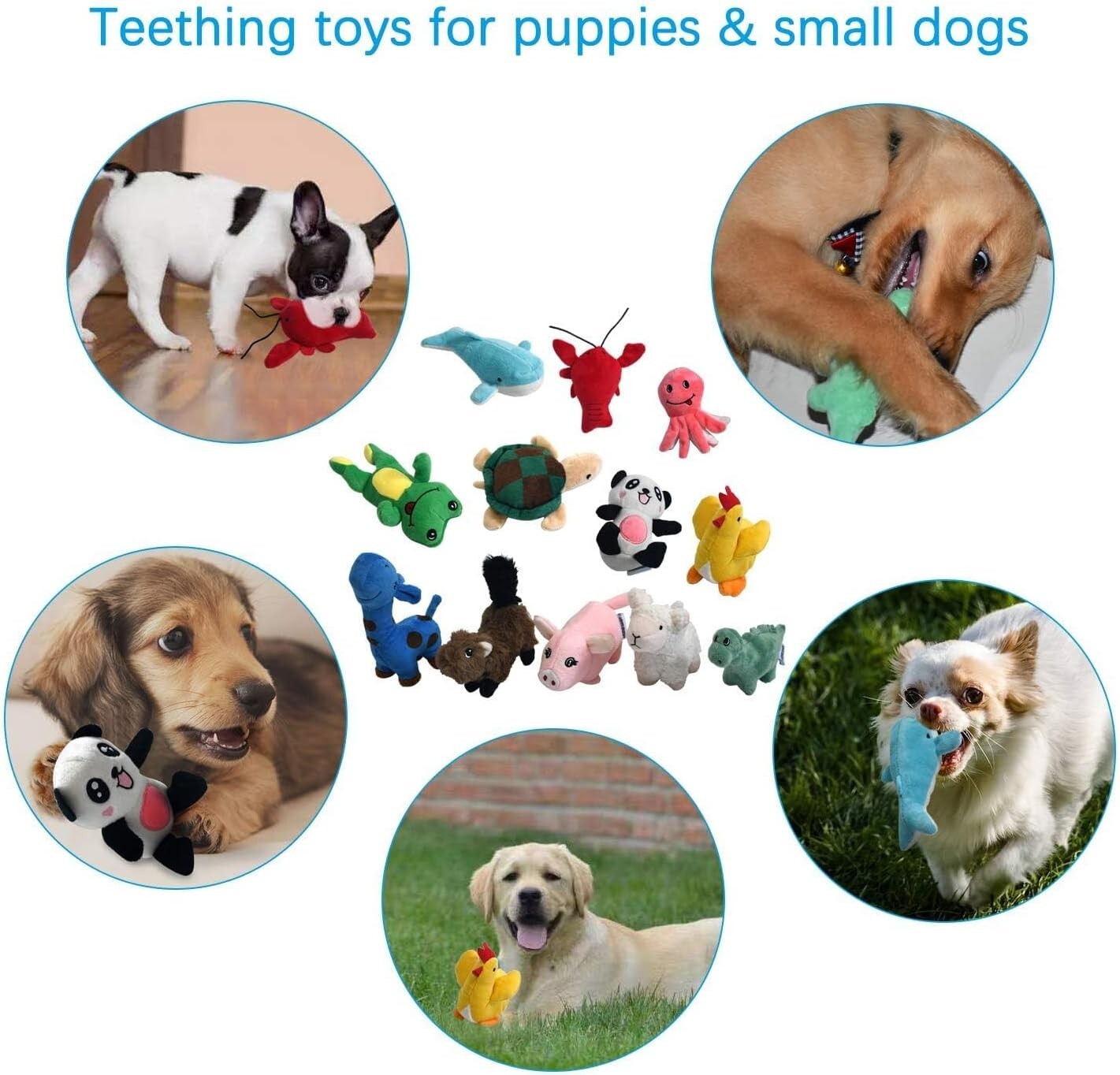 Squeaky Plush Dog Toy Pack for Puppy, Small & medium Stuffed Puppy 12 Chew Toys