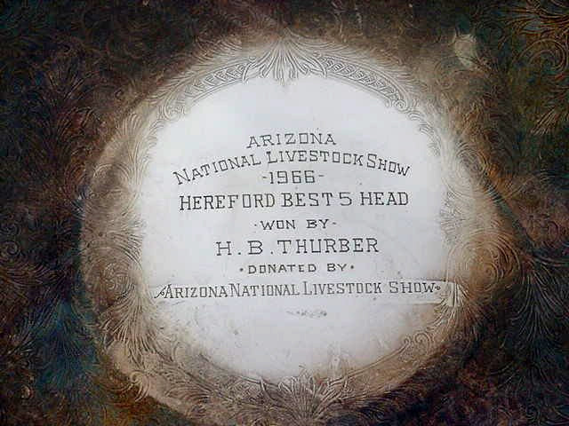 Arizona national livestock show Hereford cow cattte trophy 1966 Herald B Thurber