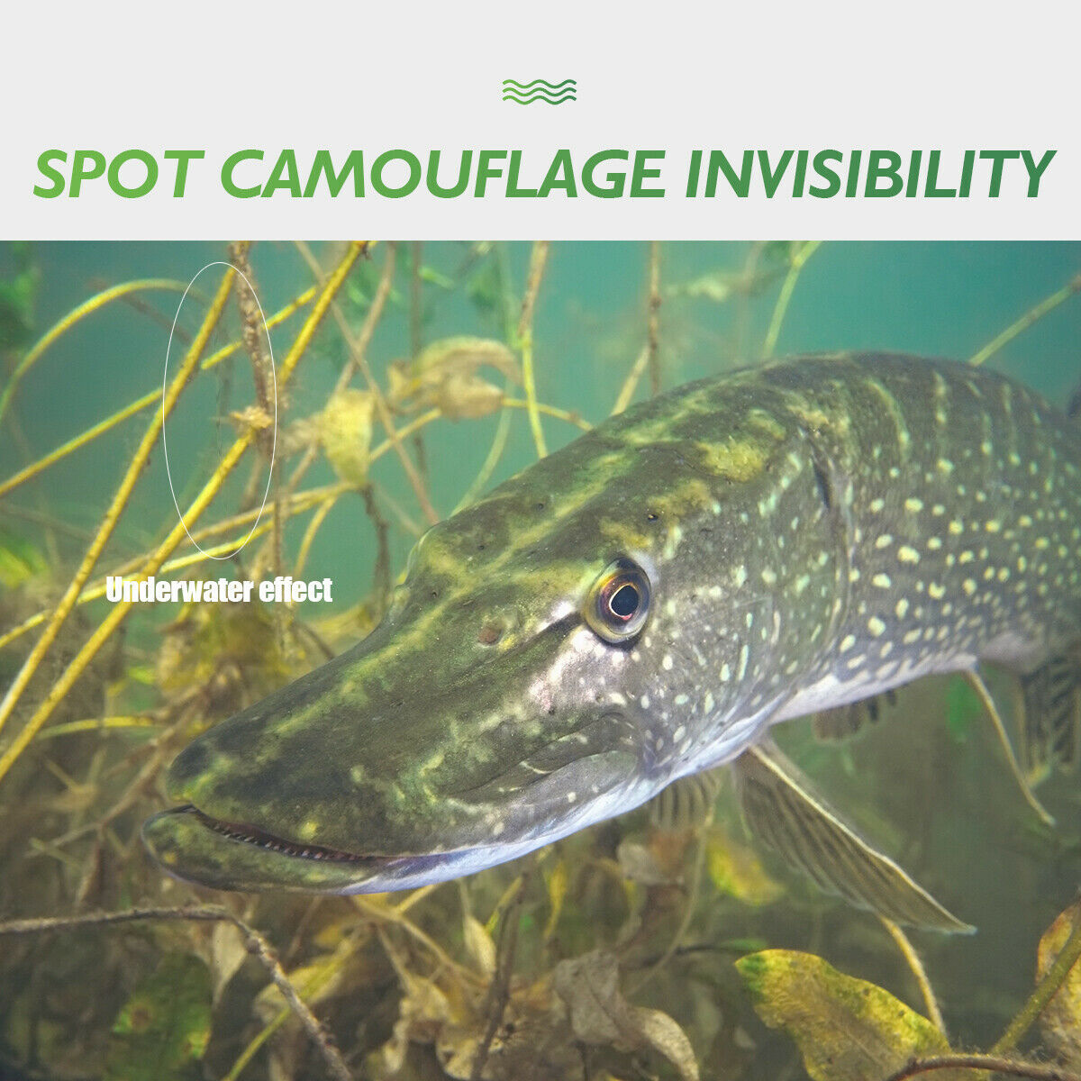 Dorisea 100M-2000M Spotted Extreme PE Dyneema Braided Fishing Line 10LB-300LB US