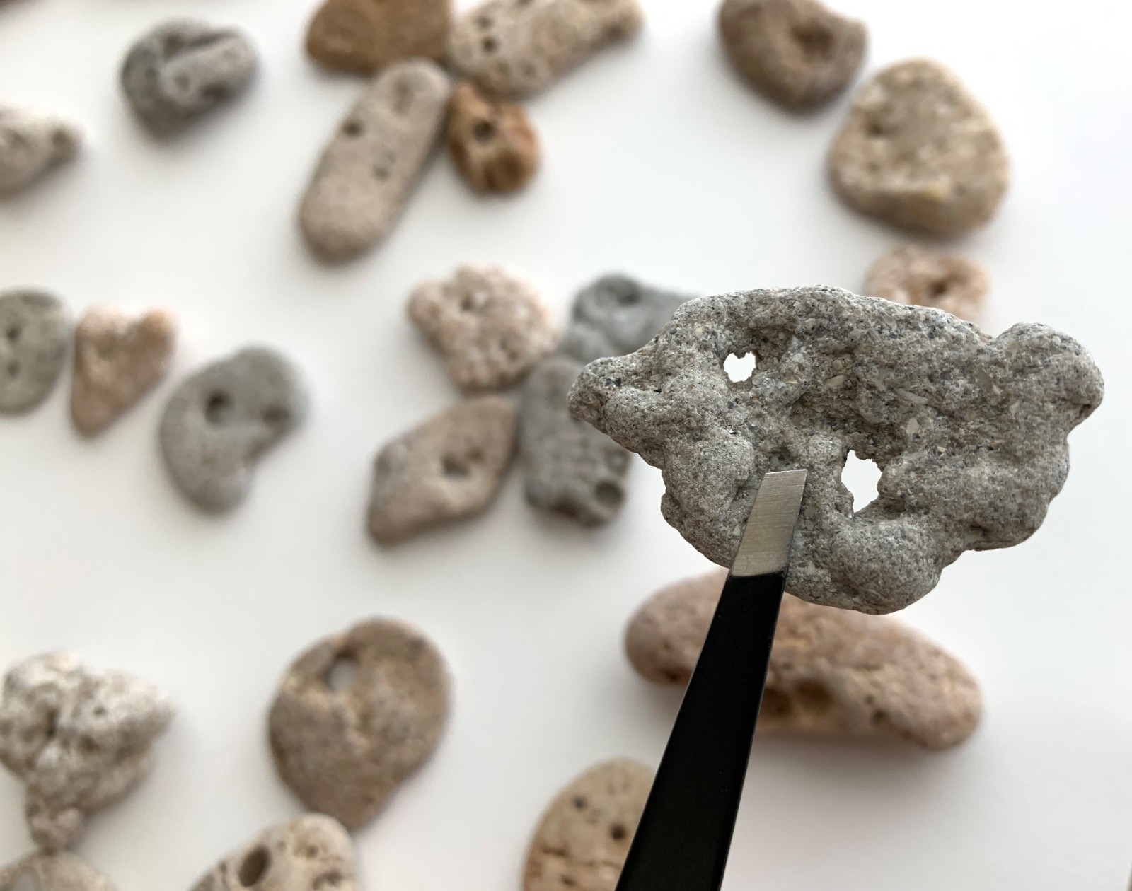 35 Adder Holey Beach Rocks Hag Stones Fairy Lucky Wish Magic Natural 1" #B1 US❤️