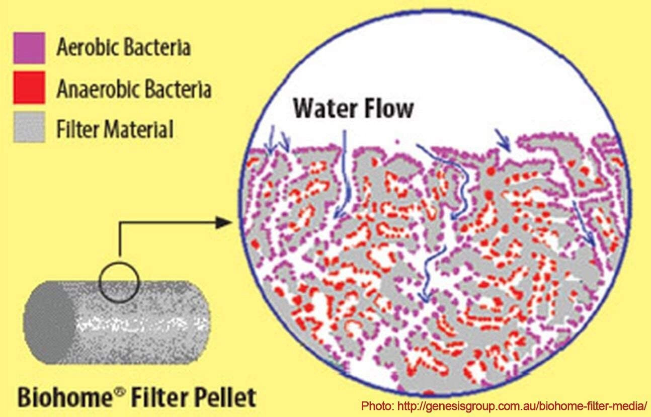 Biohome Ultimate Filter Media Aquarium Pond (FREE bacteria balls)