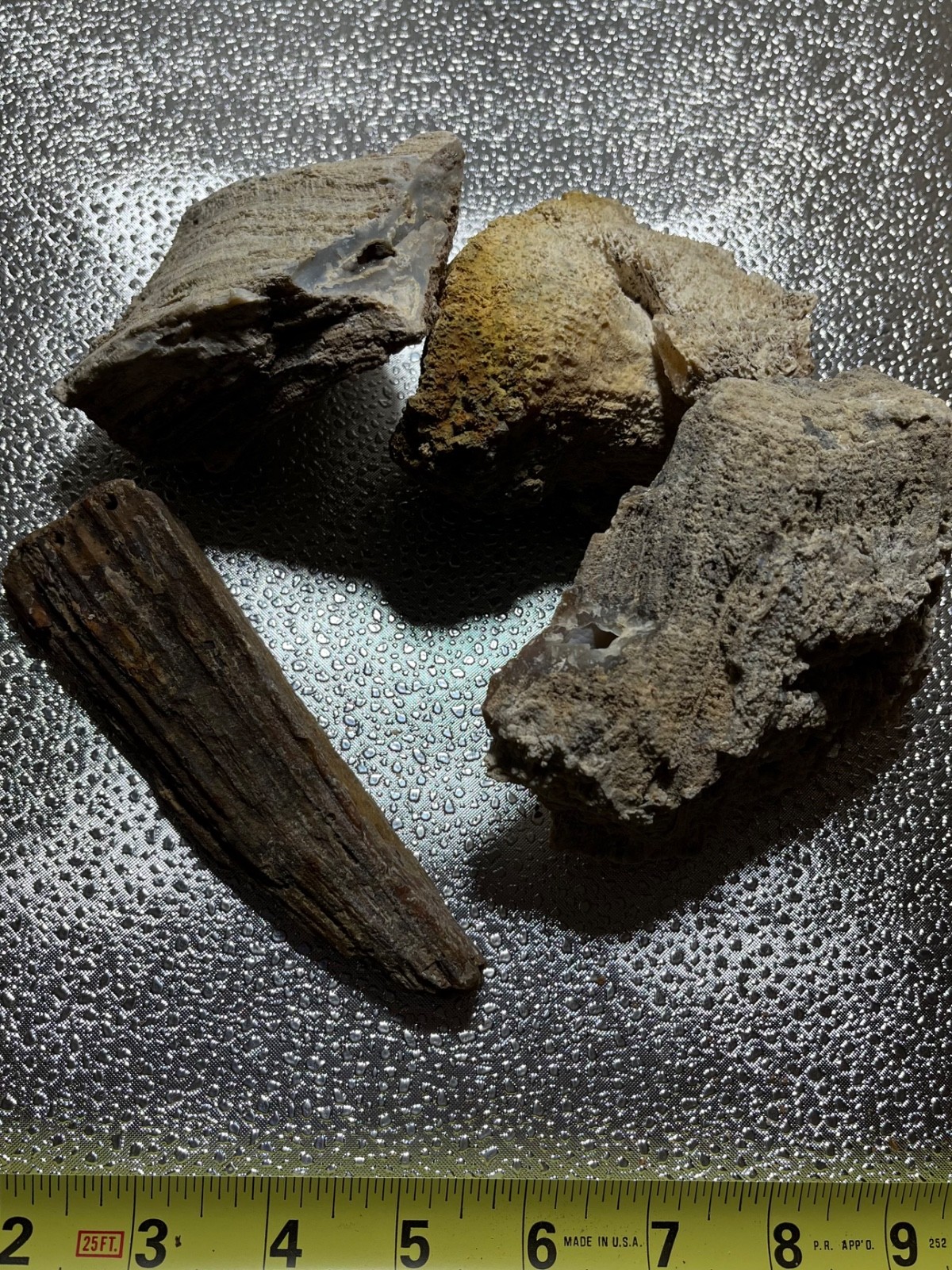 AGATIZED CORAL FLORIDA AGATE GEODES LOT 3 lb 5 oz 4 LARGE FOSSILIZED CORAL GEODE