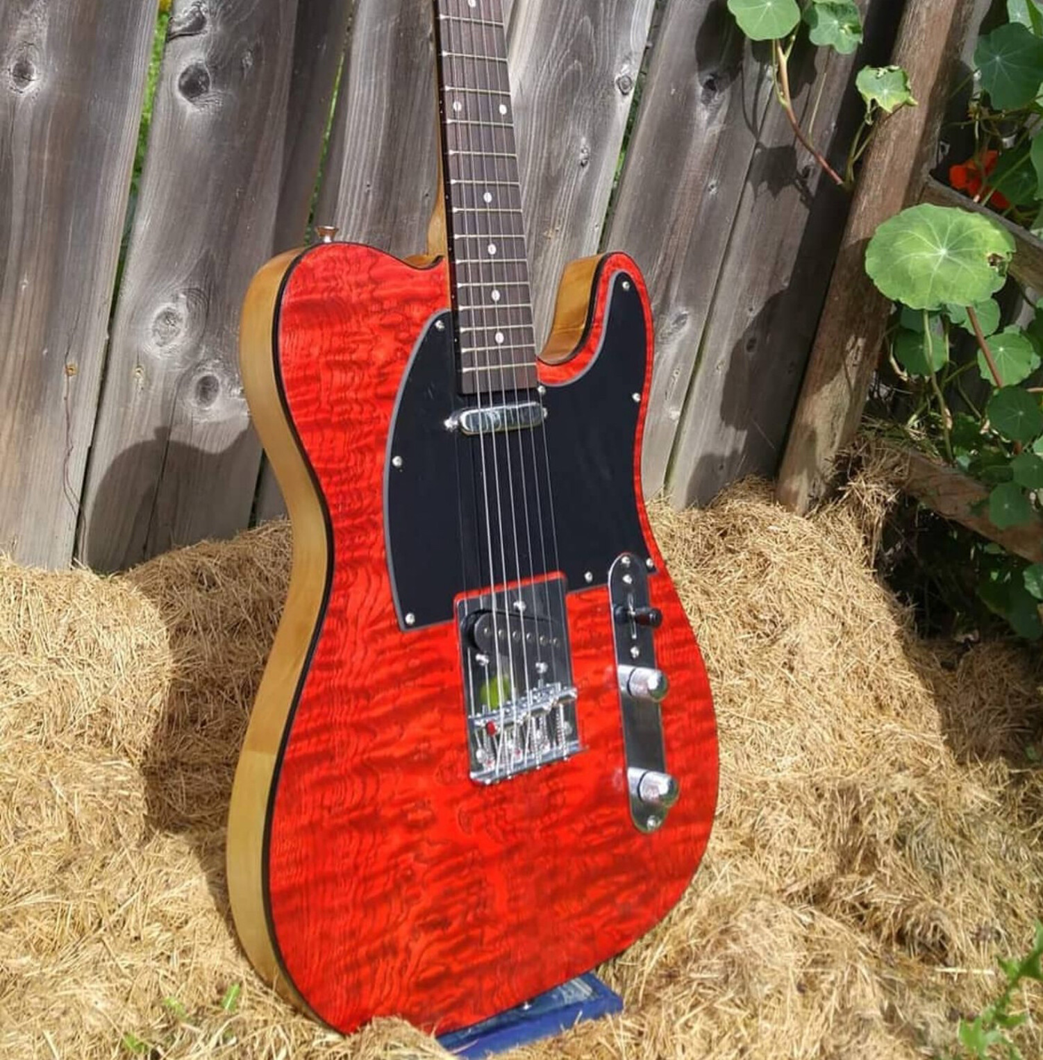 Kit Guitar Dyes by Keda Dye 5 Guitar Stain Colors For Premium Guitar Finishes