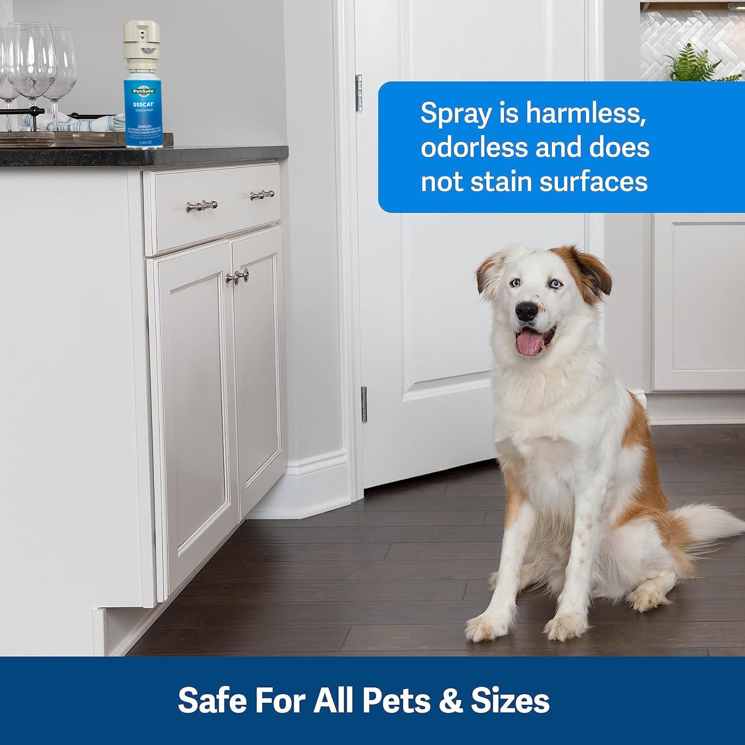 PetSafe SSSCAT Unscented Spray Refill Cans Replacement – PPD00-16818