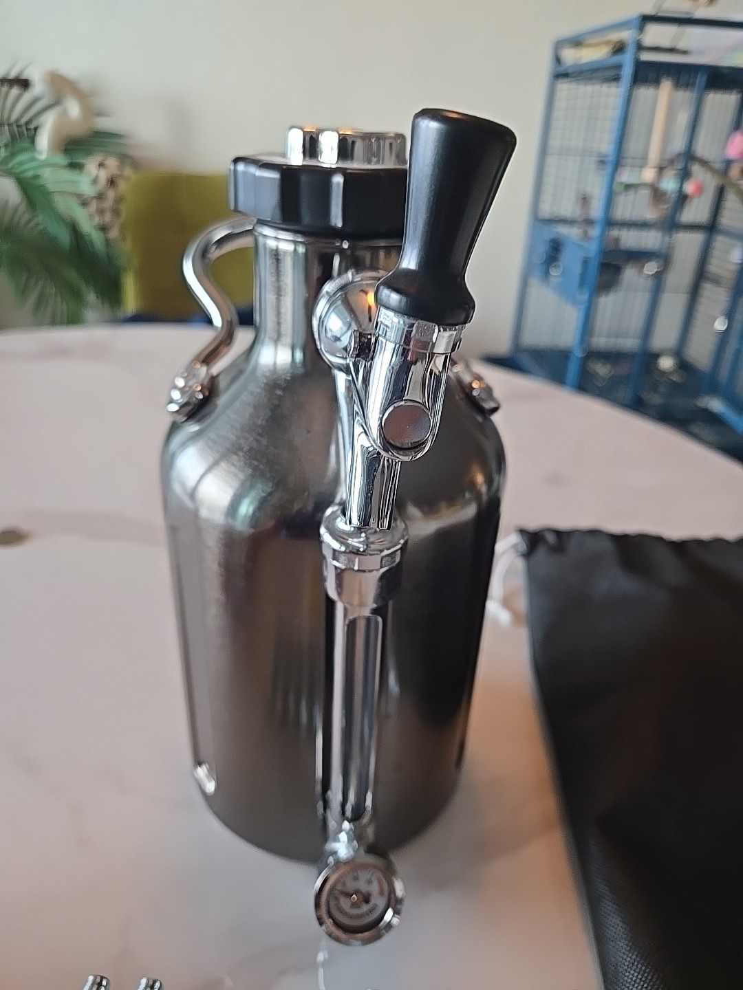 GrowlerWerks Stainless Steel 64 oz Beer Dispenser Set with Tap, CO2, Case