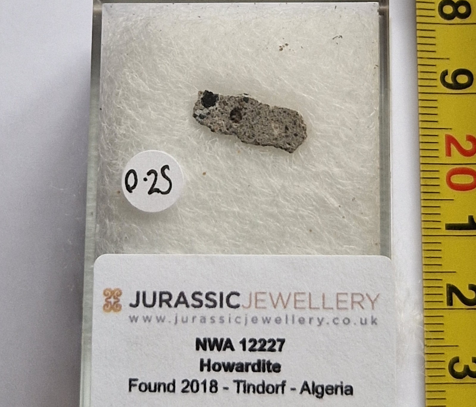 BOXED SLICE OF Howardite - NWA 12227 - Rare Asteroid Origin - 0.25 Gram