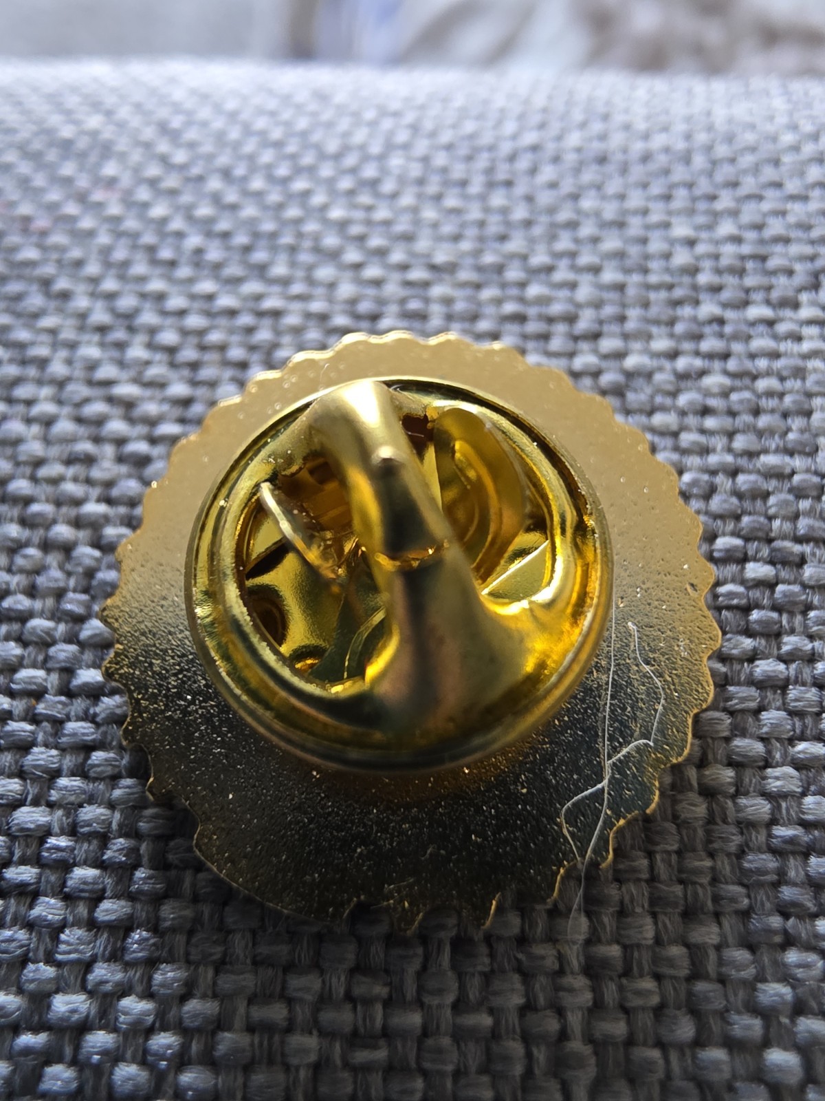 New York State Corrections Pin