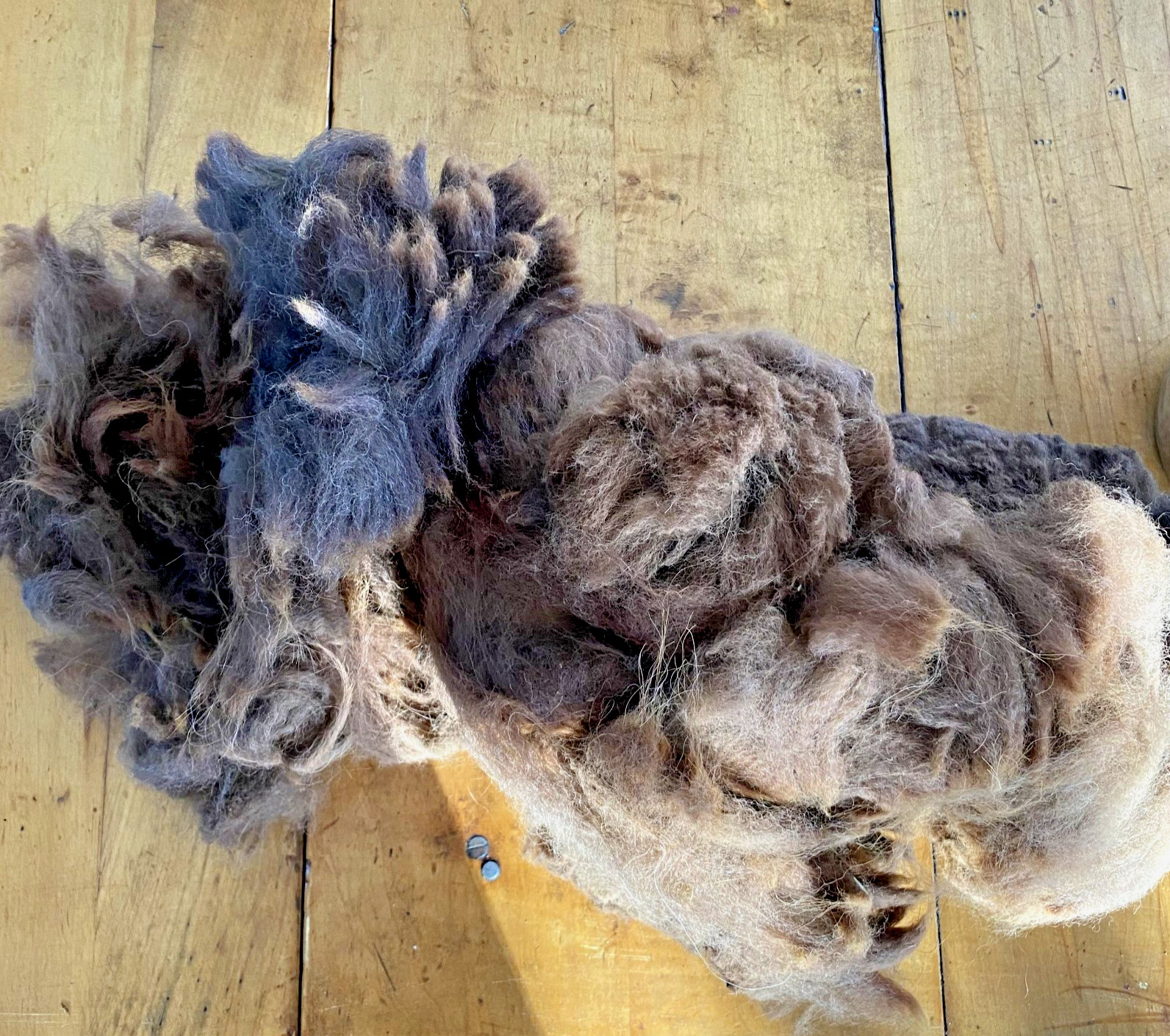 Bird Nesting Alpaca Fiber, BROWN (Stuffed 1 Gallon Bag) Ready To Use Raw Organic