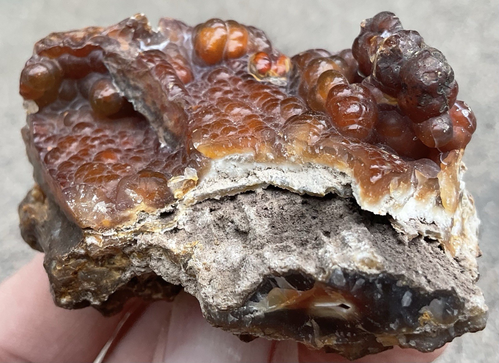 103g Botryoidal Agatized Coral Fossil Chalcedony Stalactite Florida