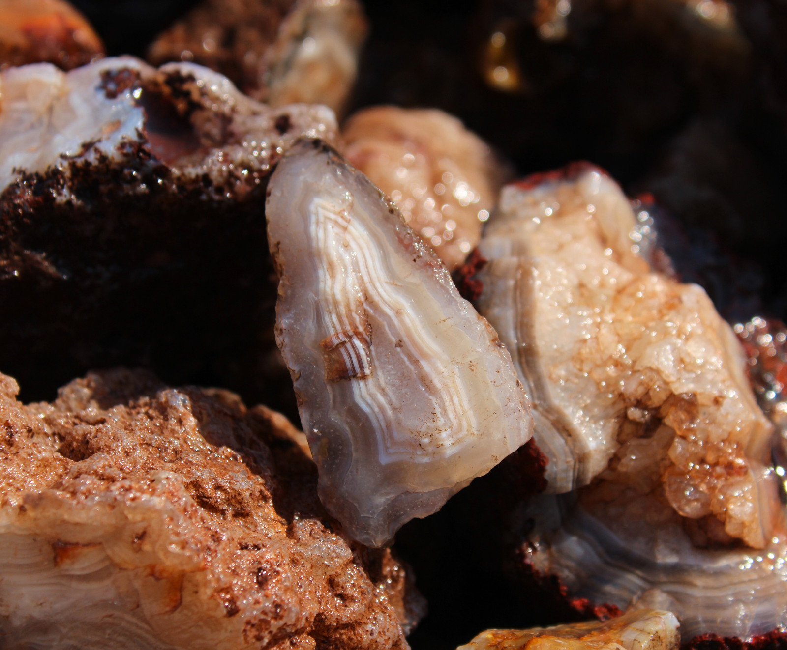 Calandria Agate Nodules - Rough Rocks for Lapidary/Cabochon - Bulk Wholesale