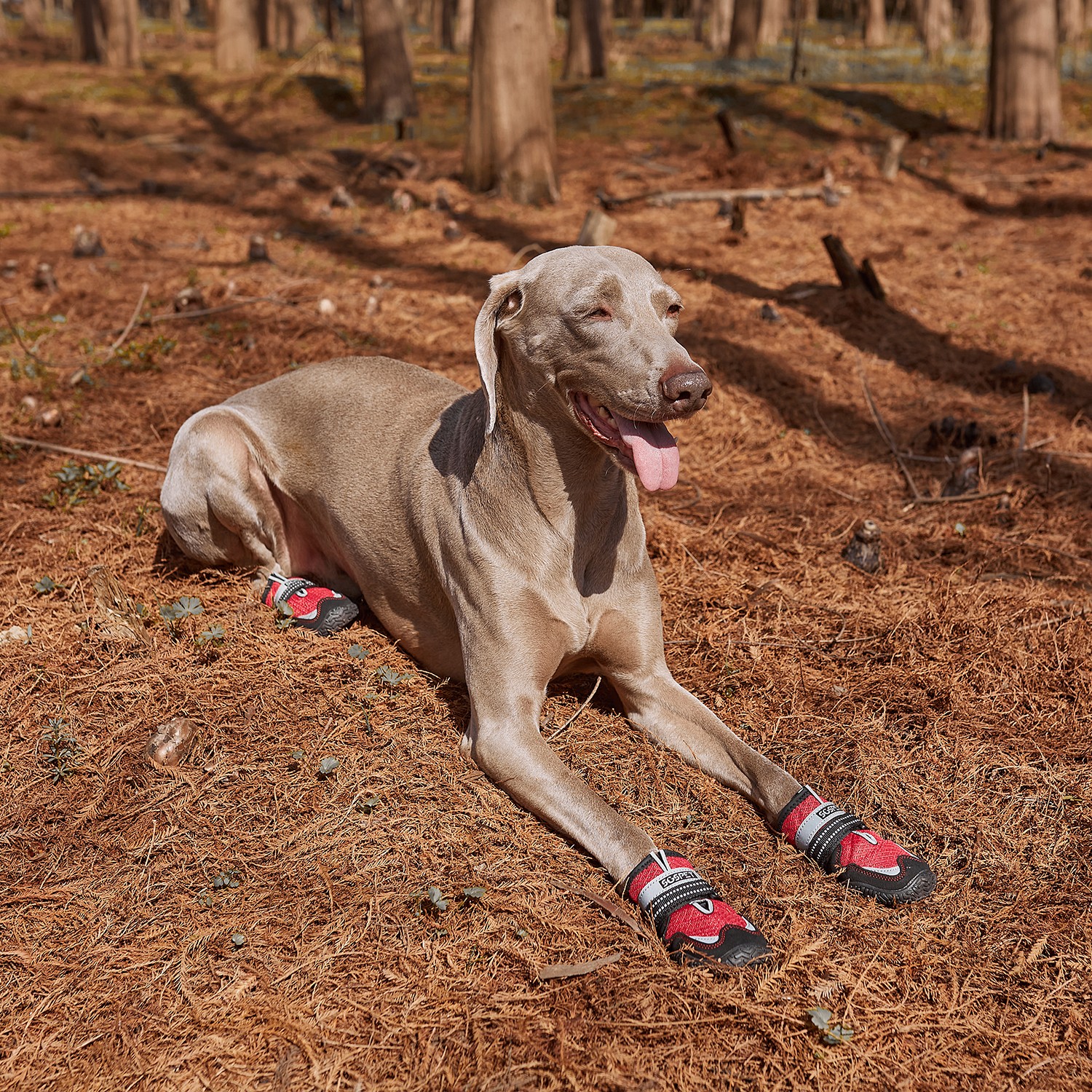 4Pcs Mesh Dog Shoes Boots Paw Protector Reflective Anti-slip Red /Black