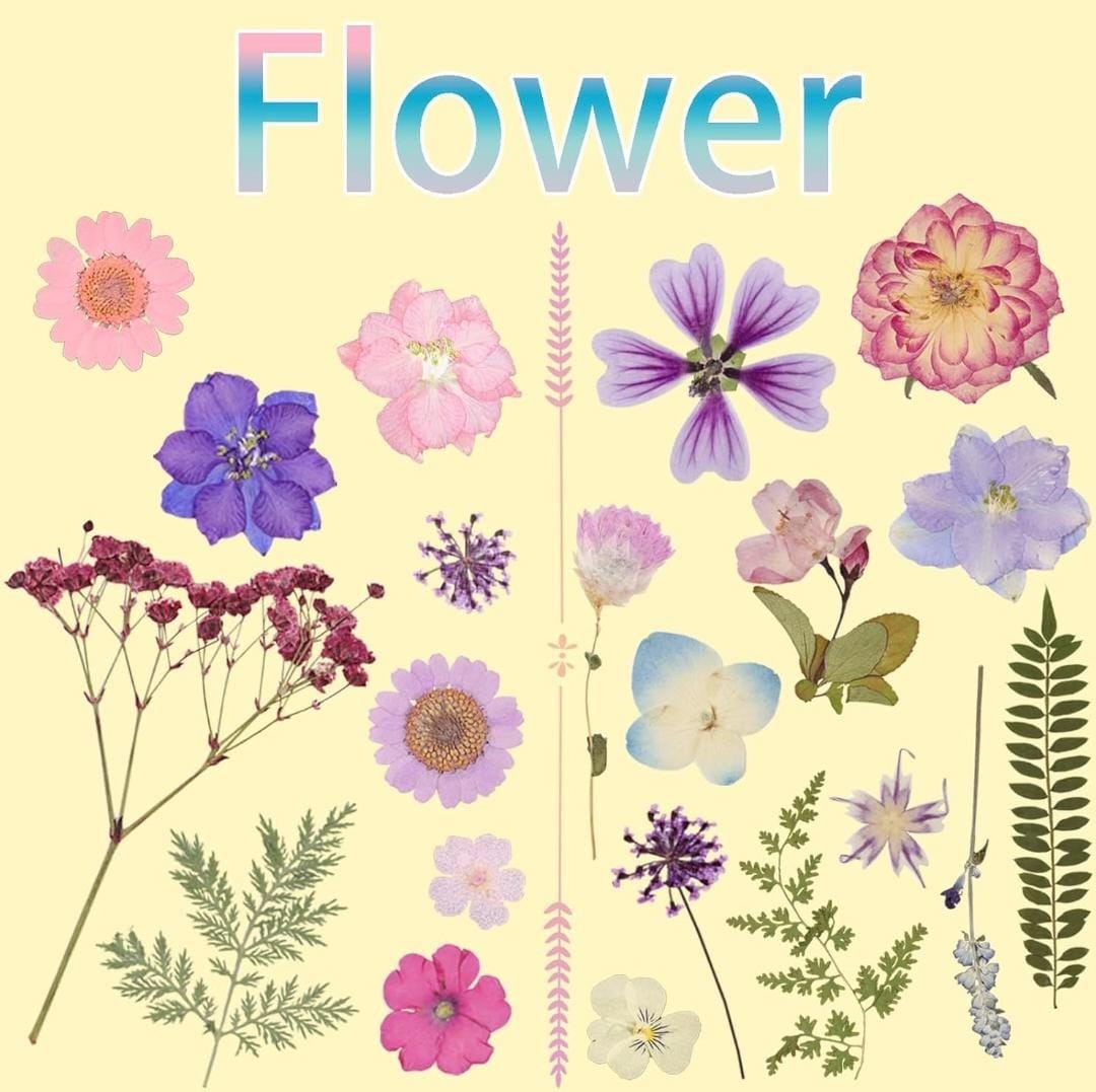 50Pcs Dried Pressed Flowers Resin Mould Real Pressed Flowers Natural Dry Leaves